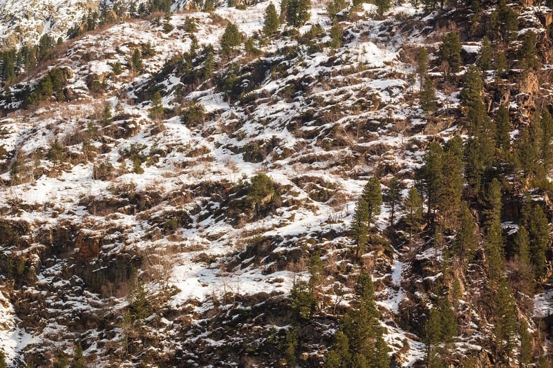 Natural Surroundings